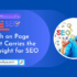 Which on Page Element Carries the Most Weight for SEO