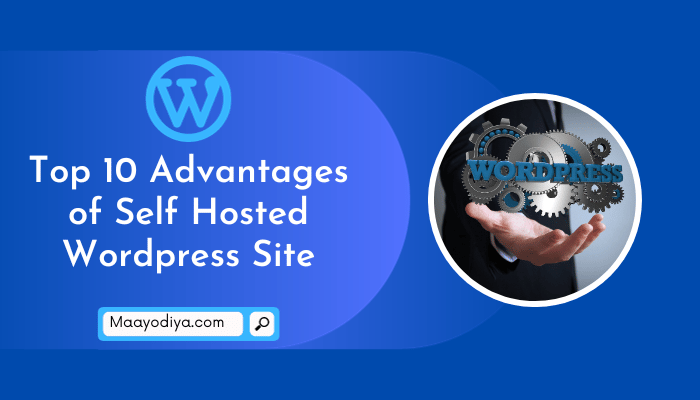 Advantages of Self Hosted WordPress Site